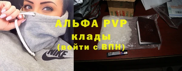 прущие грибы Козловка
