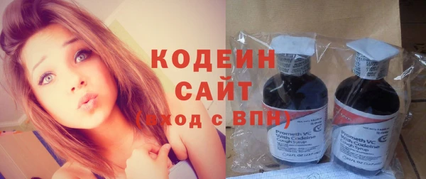 гашик Козельск