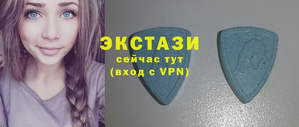 гашик Козельск
