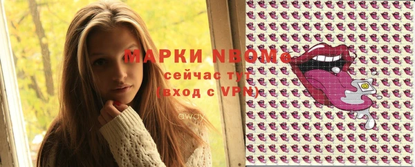 гашик Козельск