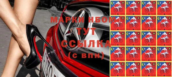 прущие грибы Козловка