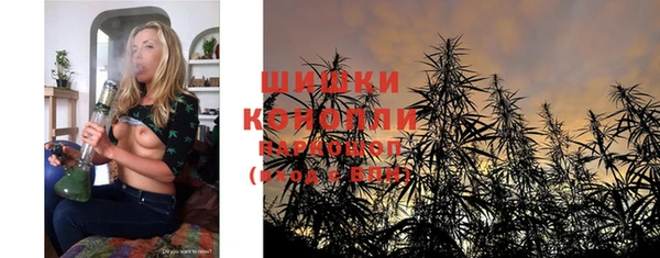 прущие грибы Козловка