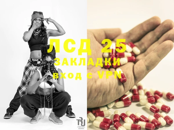 прущие грибы Козловка