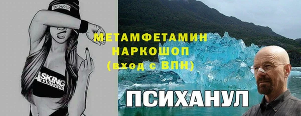 гашик Козельск