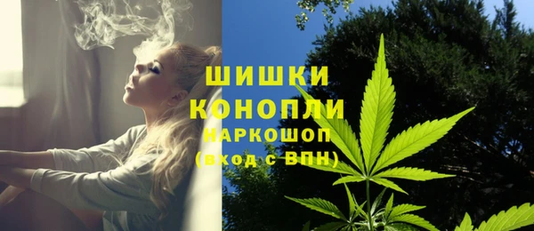 прущие грибы Козловка