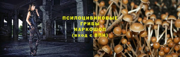 прущие грибы Козловка