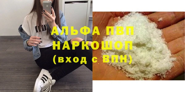 гашик Козельск
