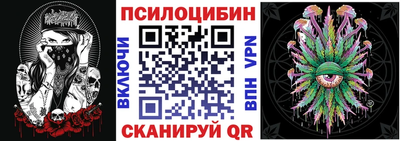 Купить  Циолковский  Псилоцибиновые грибы MAGIC MUSHROOMS 